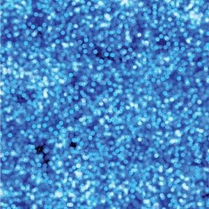 Blue Bokeh 10x10 Photography Backdrop Freedom Cloth